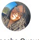 Tyeasha Quaye